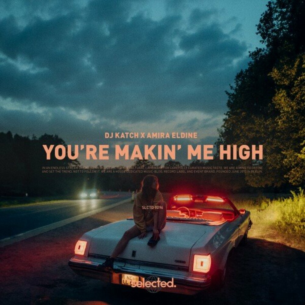 DJ Katch feat. Amira Eldine — You Are Makin Me High