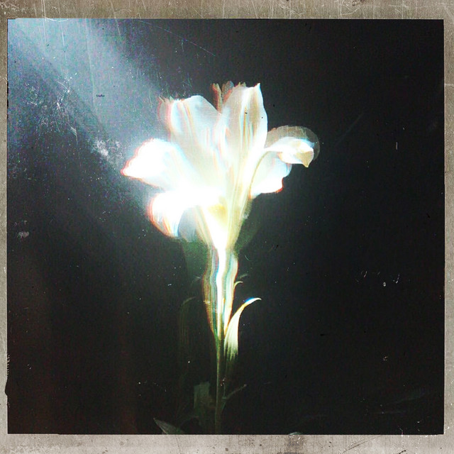 Netsky & Bebe Rexha — Light That Leads Me