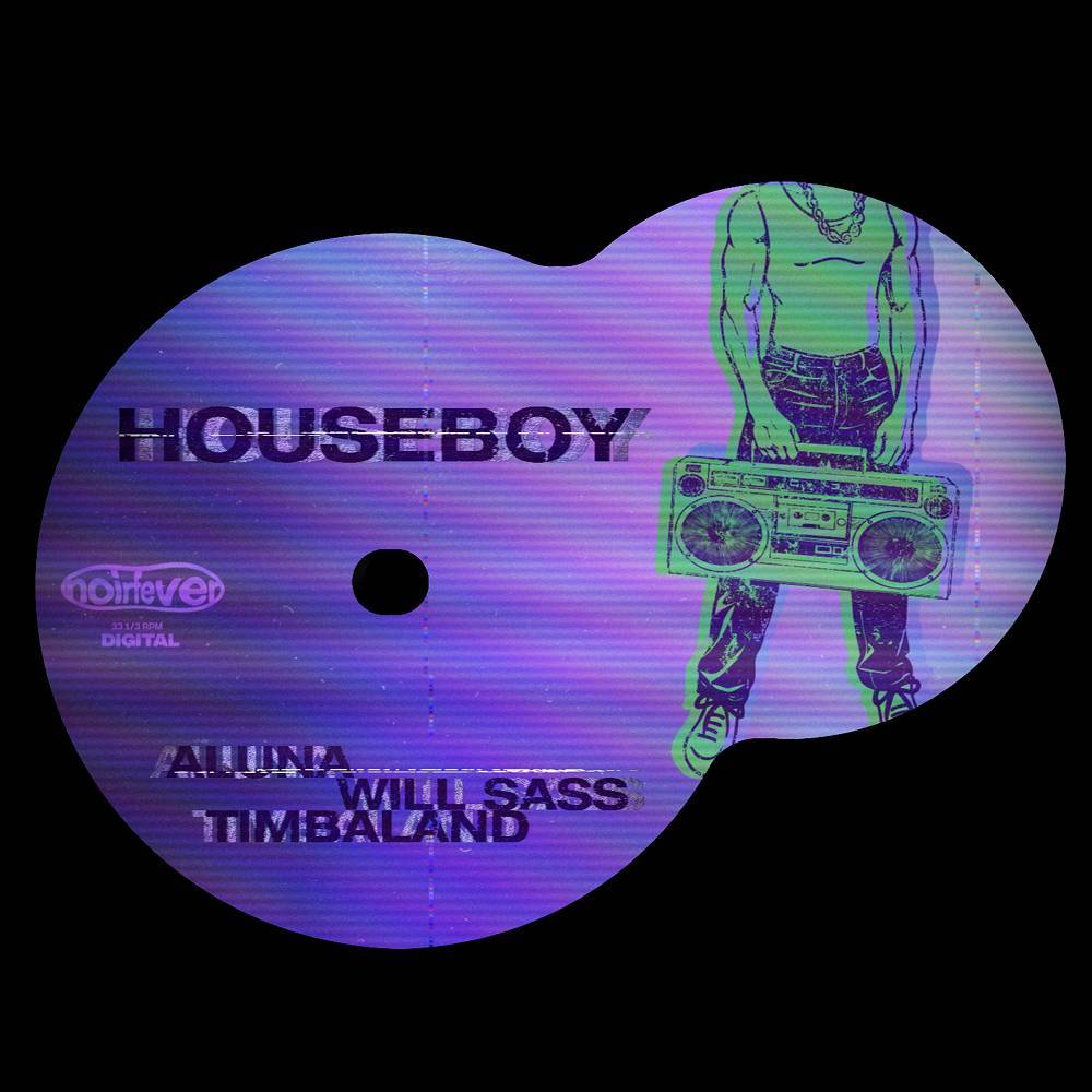 Aluna & Will Sass & Timbaland — Houseboy