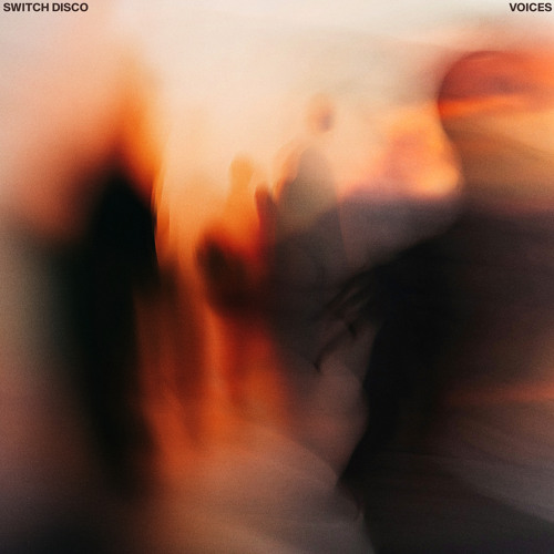 Switch Disco — VOICES