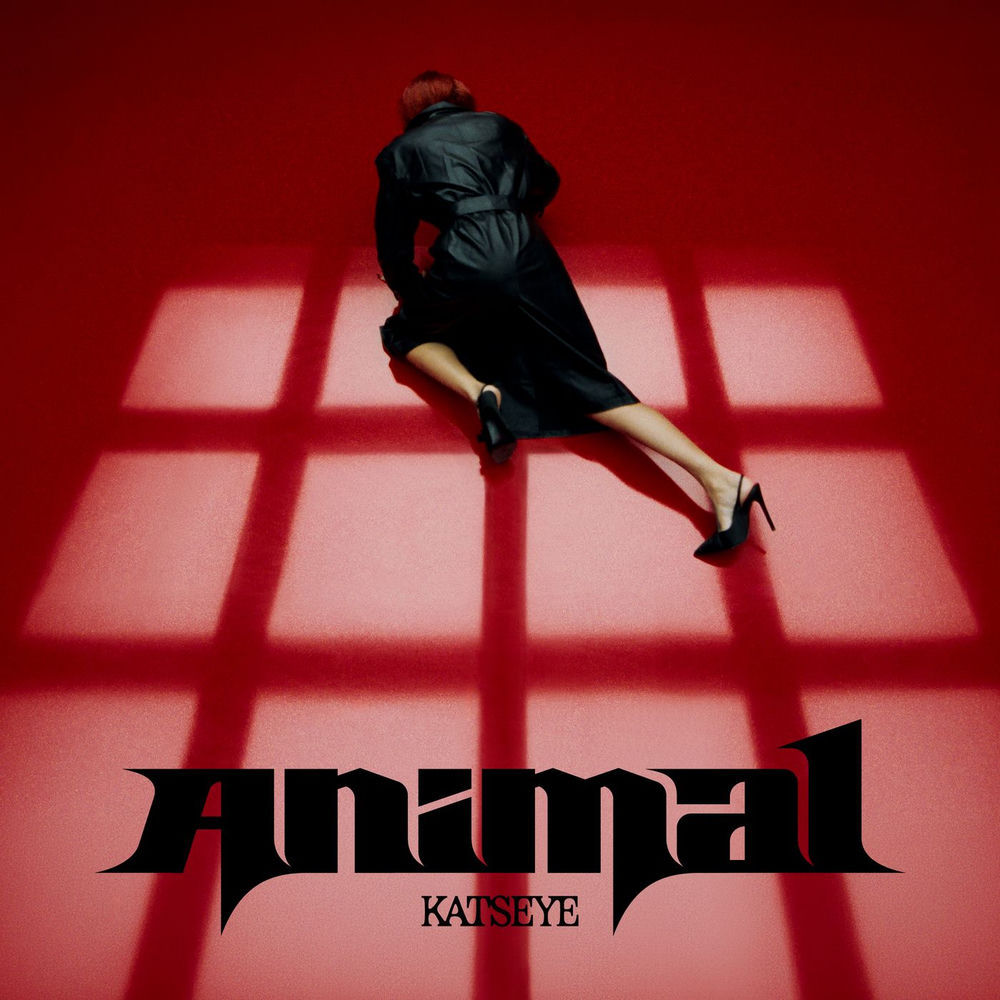 KATSEYE — Animal